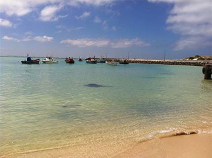 Kiteboarding Struisbaai Harbour